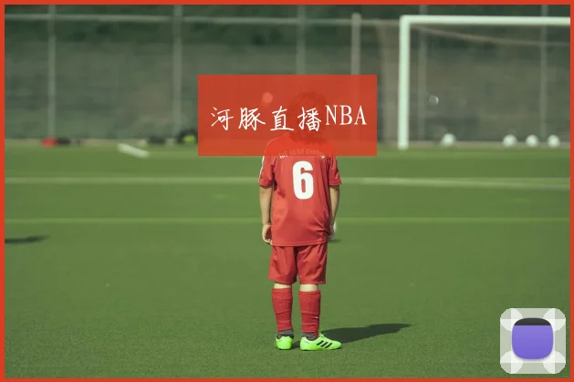 河豚直播NBA