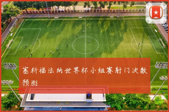 塞科福法纳世界杯小组赛射门次数预测