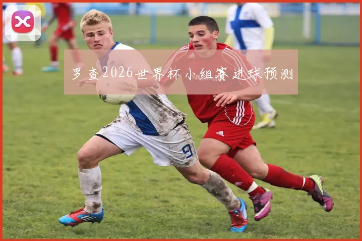 罗查2026世界杯小组赛进球预测