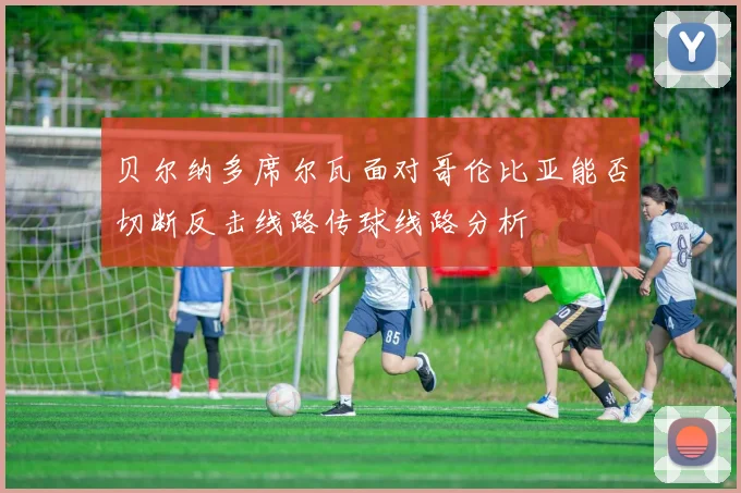 贝尔纳多席尔瓦面对哥伦比亚能否切断反击线路传球线路分析