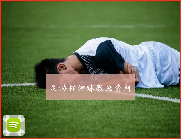 足协杯控球数据资料