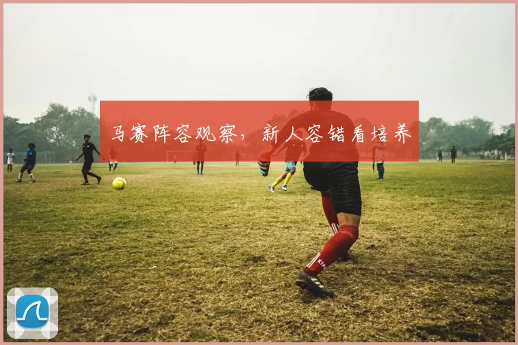 马赛阵容观察，新人容错看培养
