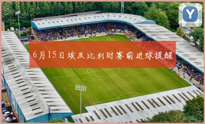6月15日埃及比利时赛前进球提醒
