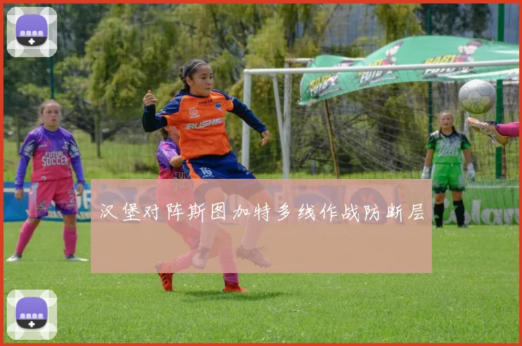汉堡对阵斯图加特多线作战防断层